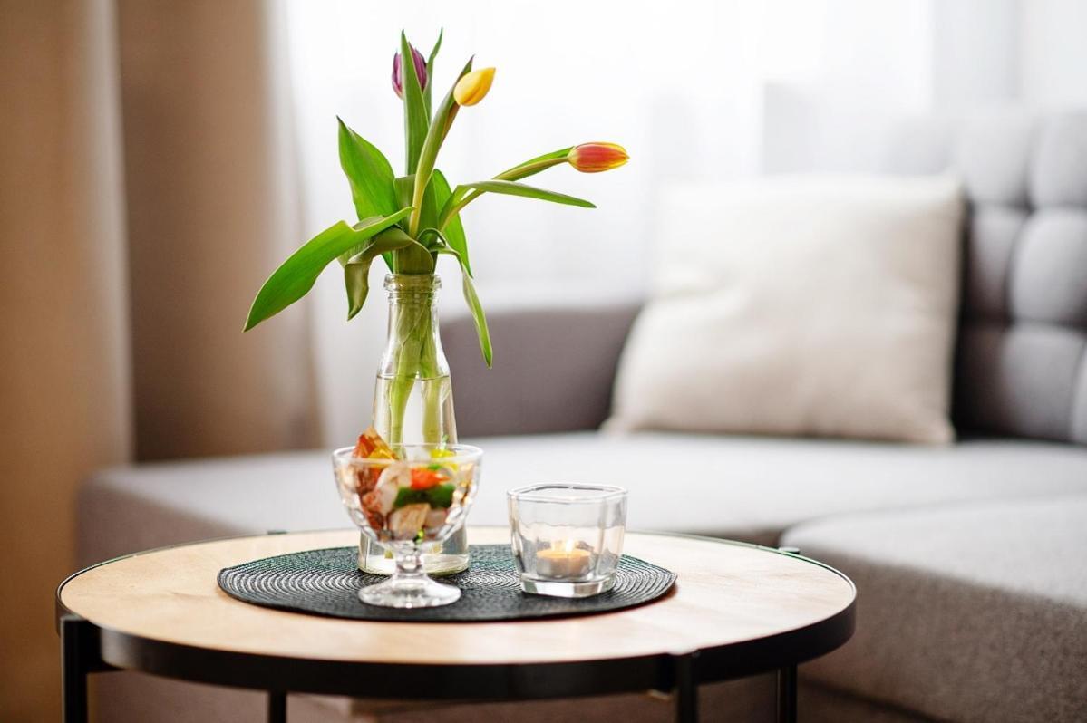 Apartament Gorzow 乔左维尔考普尔斯基 外观 照片